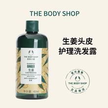 美体小铺英国TheBodyShop生姜头皮护理去屑控油洗发露新版洗发水