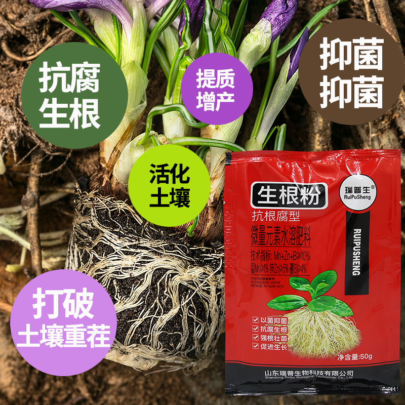瑞普生生根粉生根粉扦插用植物发根花卉蔬菜快速壮苗水溶肥叶面肥