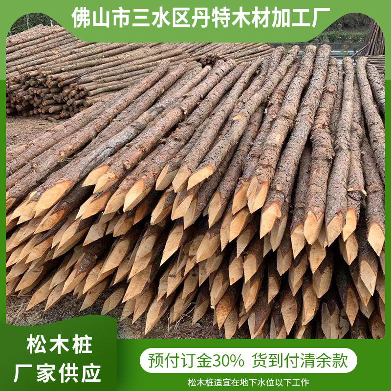 1-6米佛山供应松木桩打桩松木圆木木尖河道防迅软地基打桩油松