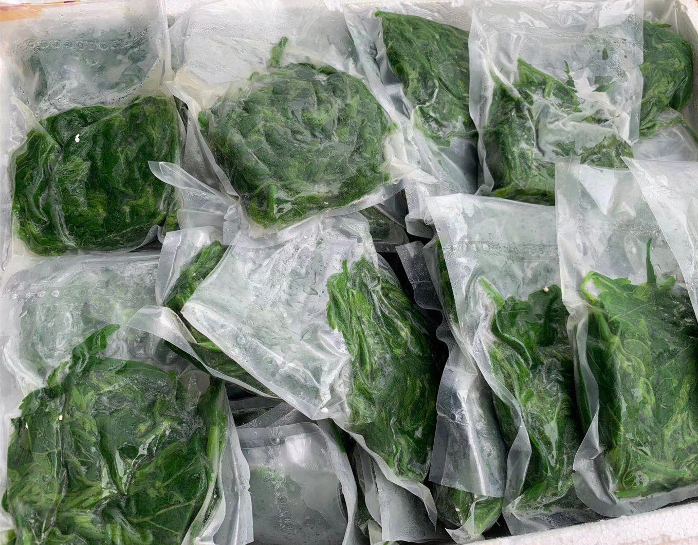 新鲜冷冻桑叶嫩桑芽桑芽菜餐厅农庄上汤炒菜商用嫩桑芽菜整箱批发