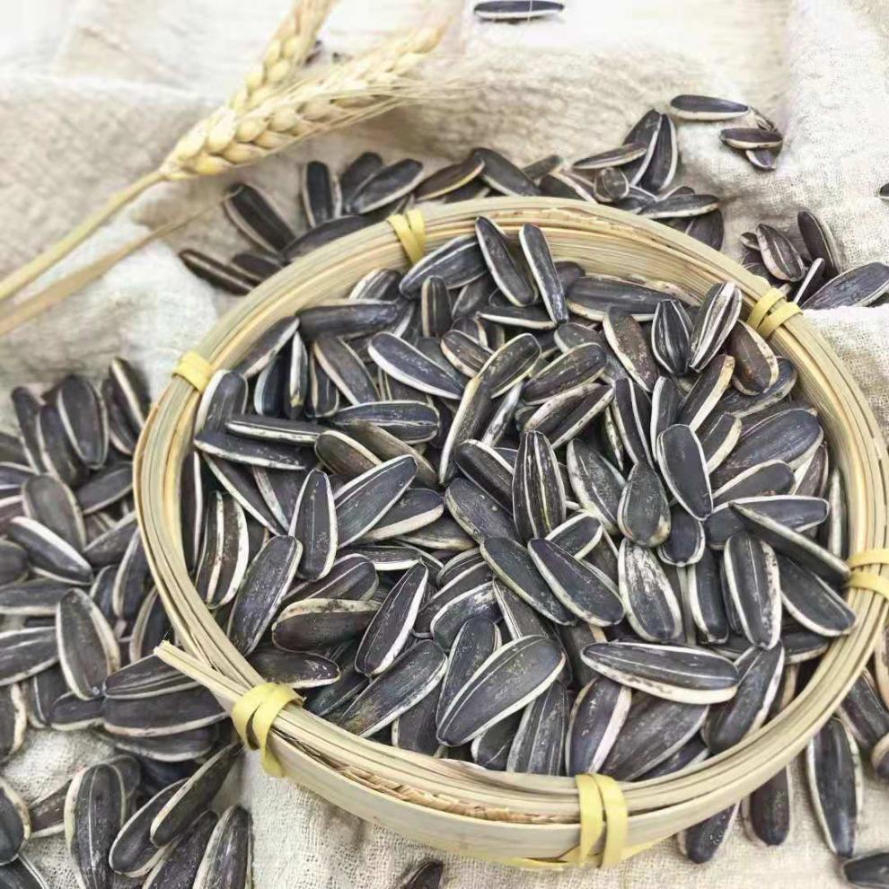内蒙古特大粒生瓜子特价精品新鲜葵花籽原味零食批发烘焙材料散装