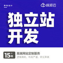 湖北外贸网站搭建跨境电商独立站平台软件开发亚马逊品牌设计域名