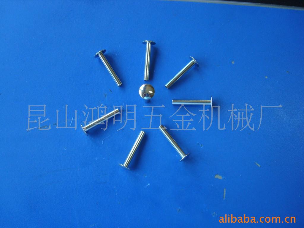 半空心铝铆钉 装饰盲孔铆钉 不锈钢抽芯铆钉 烤漆大头铆钉卯钉