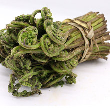 东北特产长白山野菜山菜 猴腿菜 野山菜 蕨菜 4斤装 冰袋保鲜