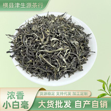 新茶云南思茅绿茶普洱绿茶云抗十号小毛尖茉莉花茶原料茶六堡