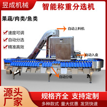 果蔬肉类鱼重量 分拣设备 检重分级机 鸡爪重量分选机 称重分级机