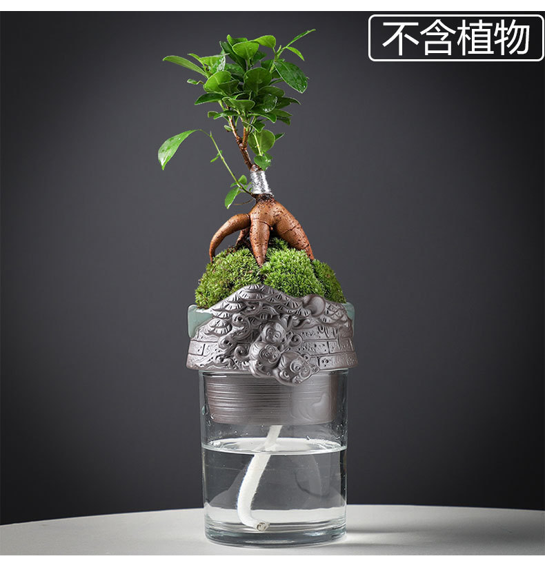 懒人紫砂花盆陶瓷大号清仓特价创意自动吸水家用绿萝吊兰绿植花盆