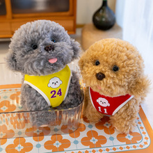 可爱球衣泰迪狗毛绒玩具公仔小狗狗贵宾犬玩偶布娃娃女孩生日礼物