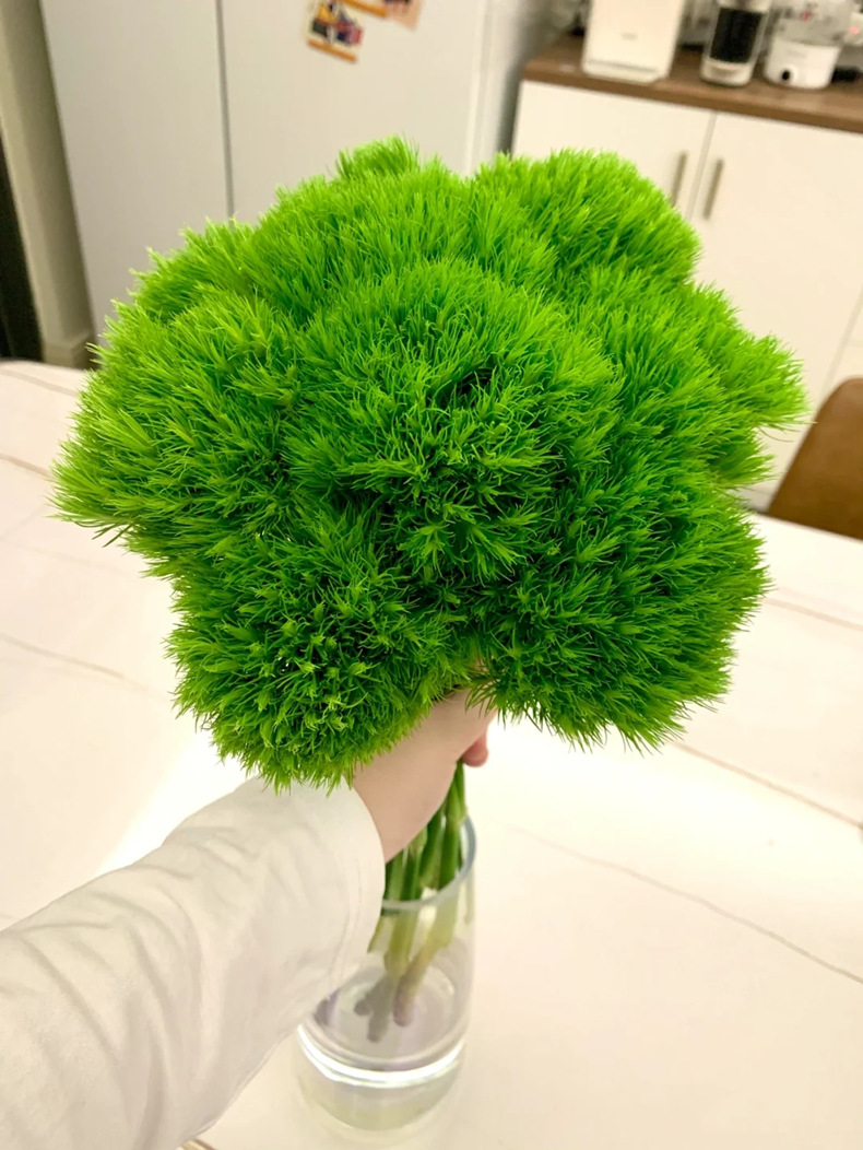 绿毛球鲜花批发云南鲜花直批婚庆布置花店摆摊用花社区团购货源