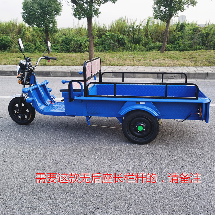 电动三轮车代步车摆摊小平板车新款家用电瓶三轮车快递货运拉货车