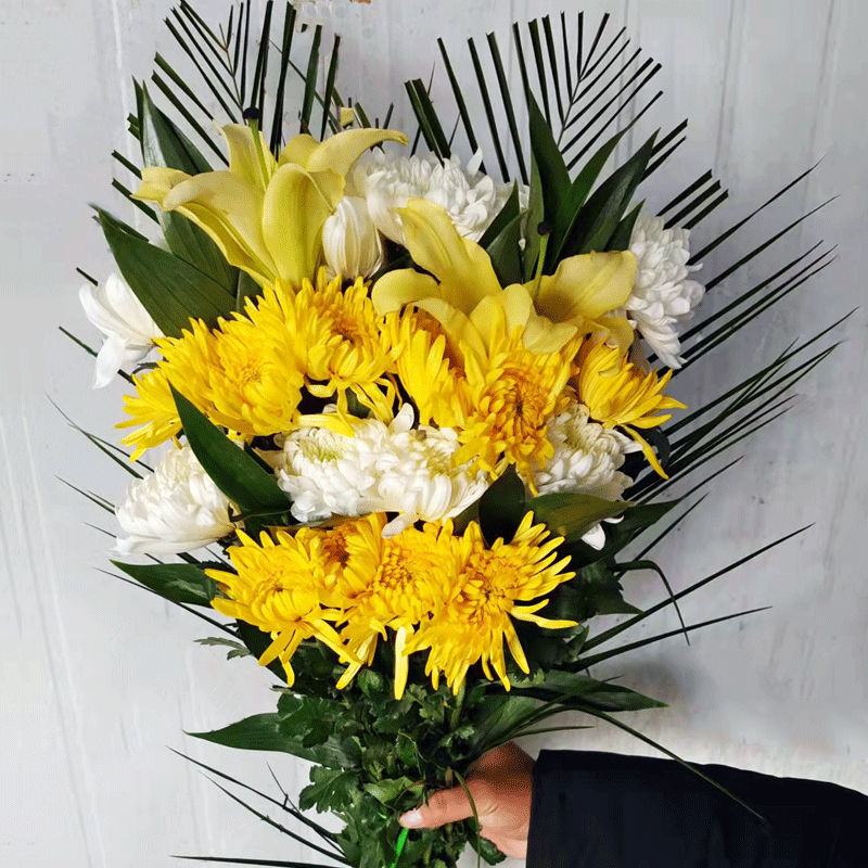 黄白菊鲜花雏菊基地直发批发散装花束春节清明节悼念上坟清明扫墓