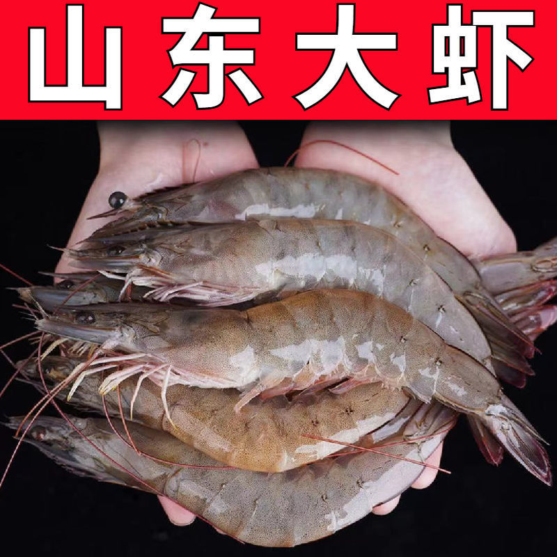 山东大虾子大虾超大鲜活冷冻基围虾青虾海捕海虾大虾海鲜大全批发