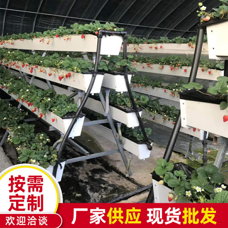 草莓种植槽 蔬菜瓜果无土栽培系统 pvc草莓立体种植架 经济实惠