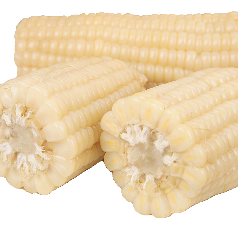 (8只 送2只)只现货包邮东北软糯香甜速冻真空黄白黏粘玉米棒-阿里巴巴