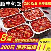 麻辣蒜蓉小龙虾尾熟食开袋加热即食冷冻批发调味大号虾尾250g/盒