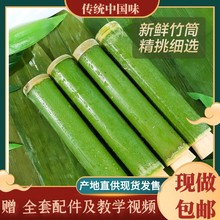 竹筒包粽子模具神器家用专用竹筒蒸饭桶做粽子用的竹筒纯绿色竹子