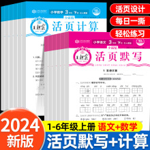 2024新版王朝霞活页默写计算人教版一二三四五六年级上册下册小学