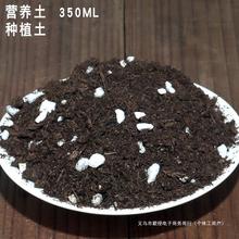 多肉植物花盆铺面石多肉土营养土植物铺面石珍珠岩炭陶粒杂色