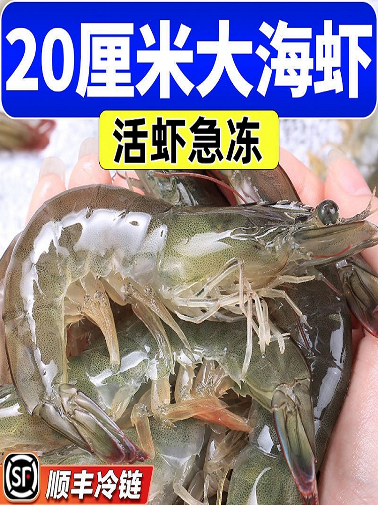 4斤装青岛大虾新鲜海虾对虾海鲜水产鲜活青虾基围虾冻虾白虾