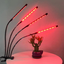 四管led植物生长补光灯 USB口小型桌面夹子灯 可定时园艺绿植灯