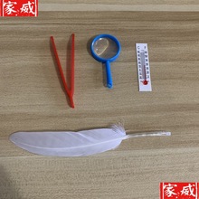 蚕宝宝养蚕套装工具羽毛蛋夹子放大镜温度计饲养盒吐丝结茧网专用