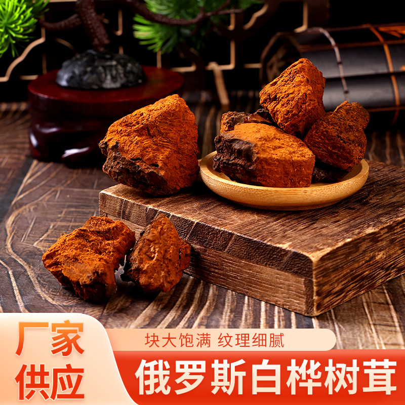 东北吉林长白山桦树茸黑金原干块500g食品瓶散装特产批发量大价优