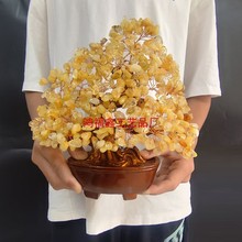 跨境天然黄水晶中财宝树摆件家居玄晶招财树开业乔迁创意装饰礼品