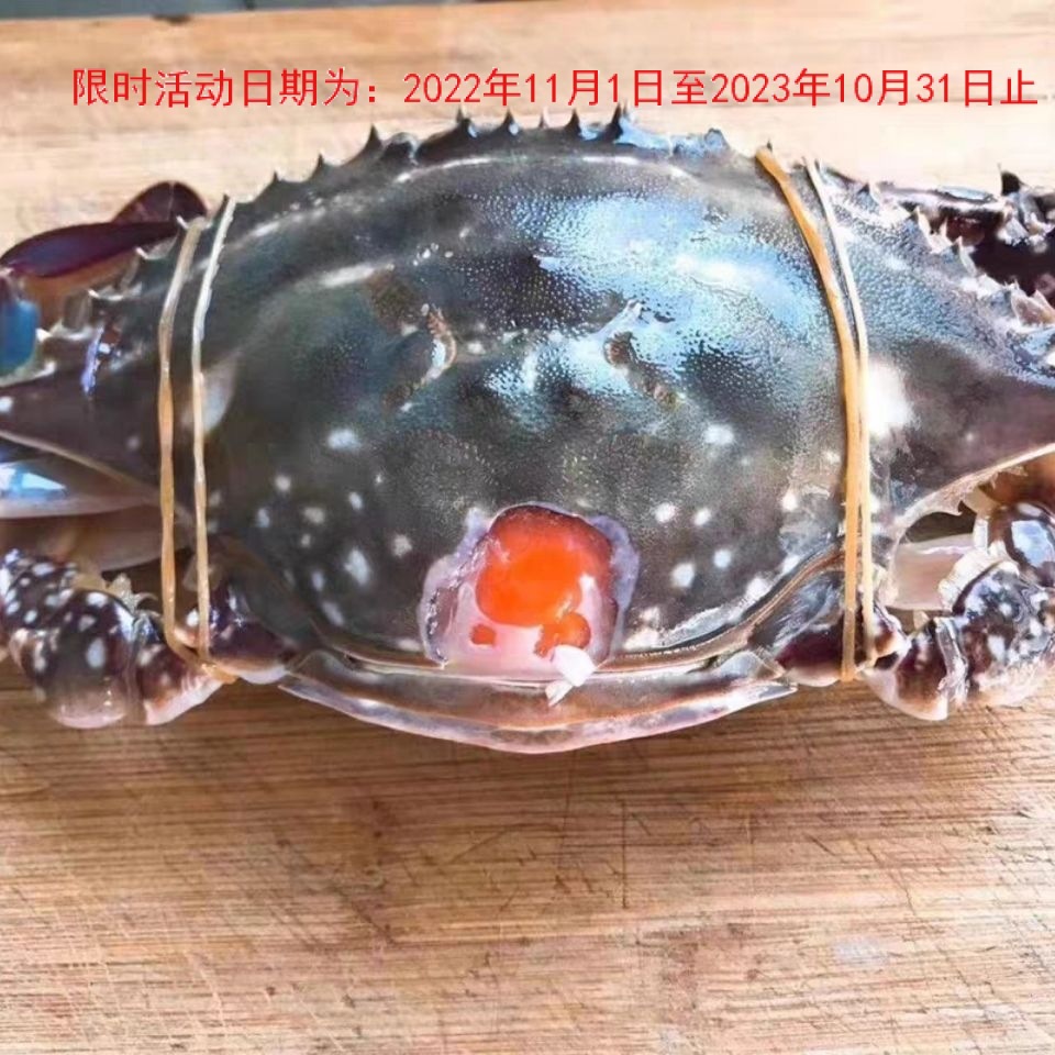 红膏蟹咸呛蟹梭子蟹炝蟹蟹醉螃蟹生腌梭子冰鲜螃蟹活体冰鲜-阿里巴巴