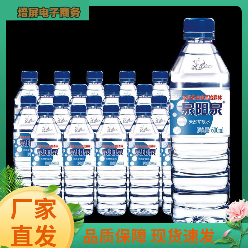 泉阳泉 长白山天然矿泉水 600ml*24瓶 整箱装可乐一般喆征其他
