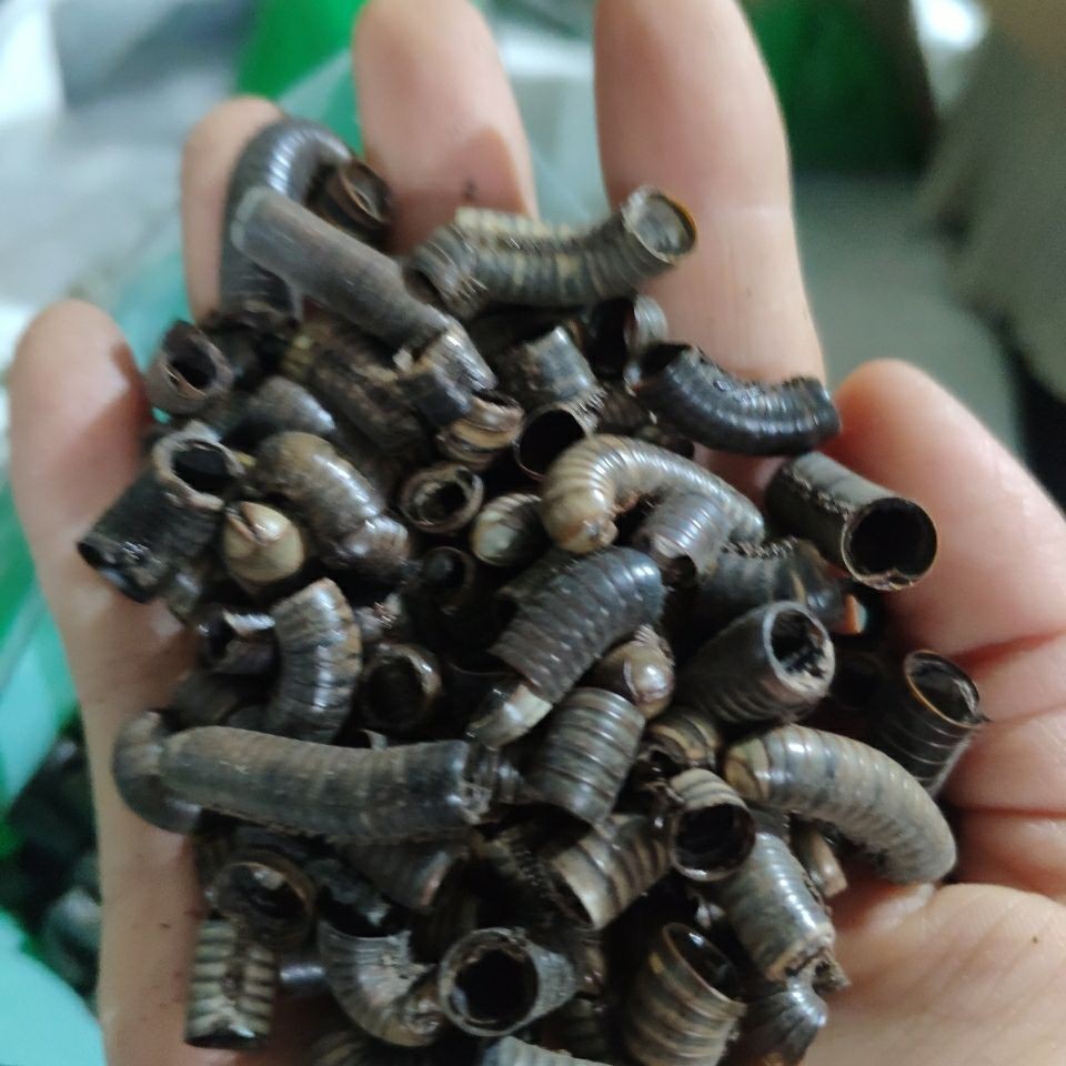 马陆中药材 1千克千足虫 山蛩虫 正宗百节虫马蚰虫