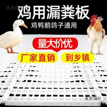 鸡用漏粪板 雏鸡鸭鹅加厚塑料接粪板禽用漏缝板鸡舍养殖设麦太保