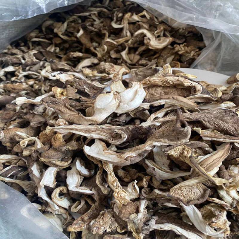 平菇干货山东农家干蘑菇包邮小姬菇凤尾菇新货干灰蘑菇干白菇干菌