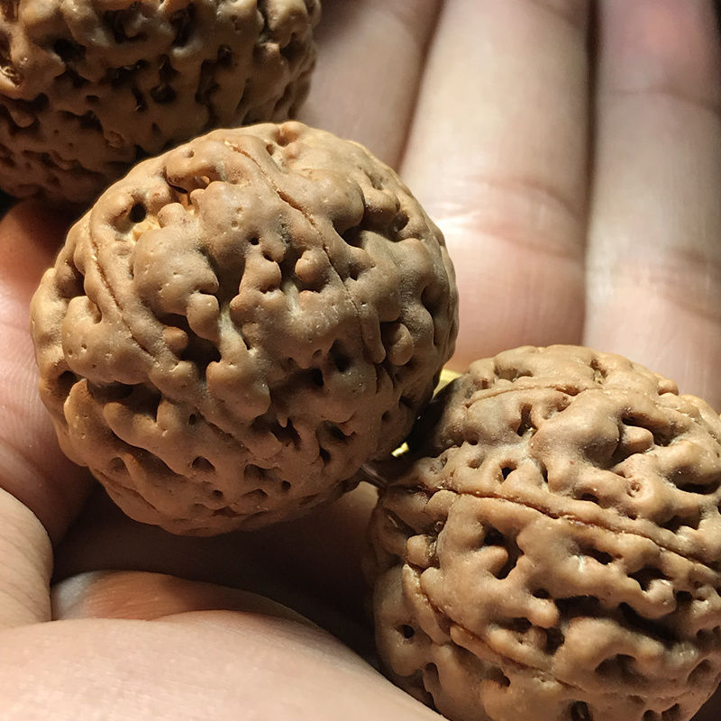 金刚菩提子手串爆肉89瓣姜黄皮蜂王原籽男士佛珠风铃子大手链念珠