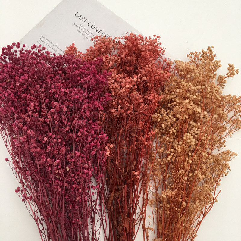 永生花满天星批发家居装饰保鲜花配材情人节生日拍摄礼物-阿里巴巴