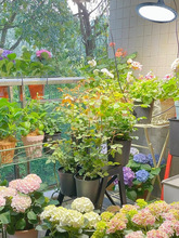 全光谱植物生长补光灯室内养兰花卉蔬菜阳台太阳光模拟灯仿太阳灯