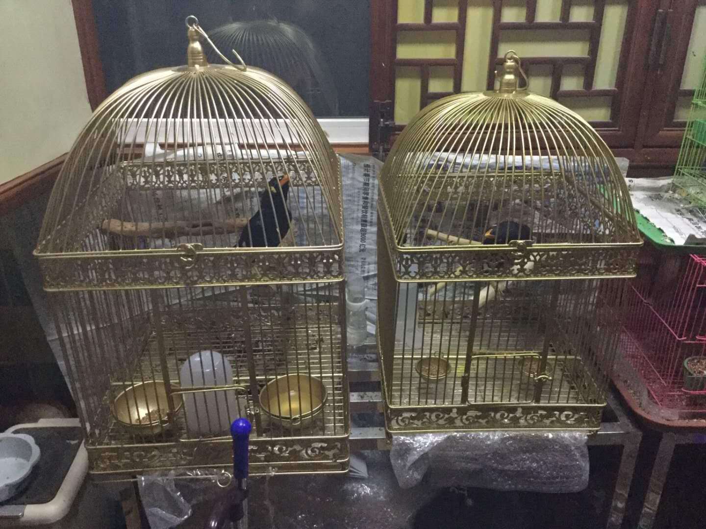 欧式铁艺大号鸟笼工具摆件 时尚八哥 鹦鹉 画眉鸟笼子 落地式特价
