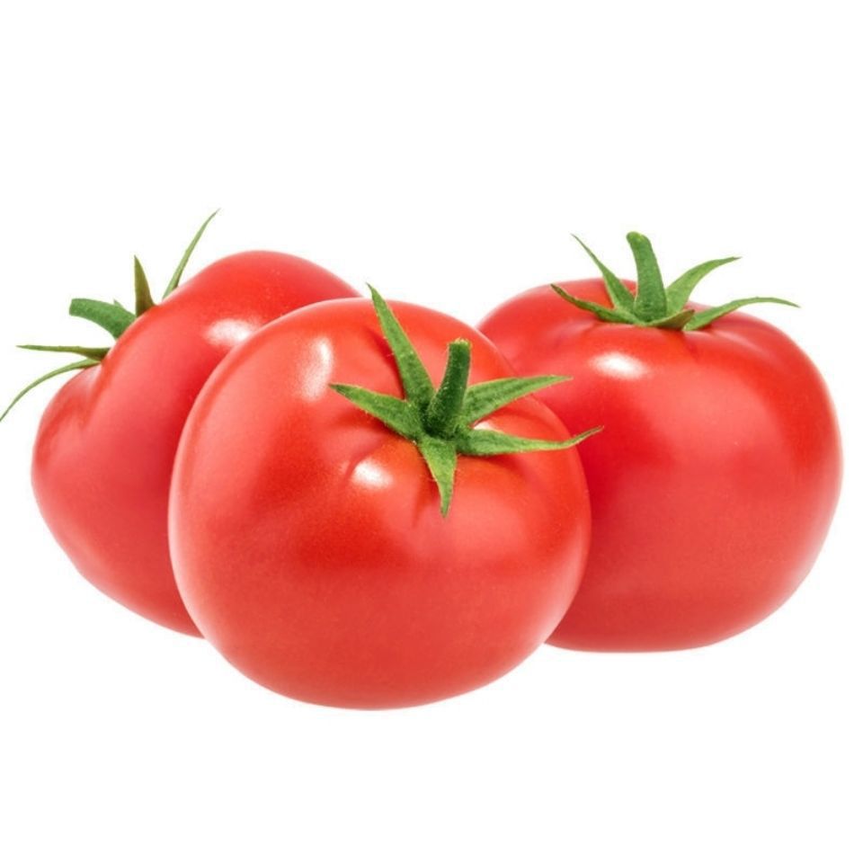 顺丰包邮新鲜当季蔬菜番茄水果自然熟普罗旺斯整箱一件批发