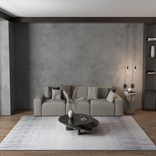 简约现代黑白灰设计地毯客厅沙发茶几毯家用卧室床边轻奢百搭地毯