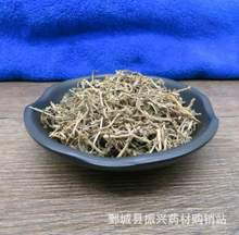 垂盆草 统装 500g 产地较广 振兴药材购销站 量大从优 一站式采购