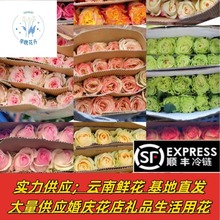 玫瑰花鲜花批发云南昆明鲜花直批国庆婚庆花店摆摊送人社区团购鲜