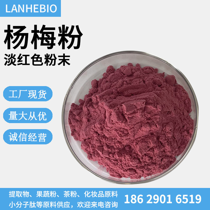 杨梅果粉杨梅粉杨梅汁粉水溶性杨梅粉杨梅提取物现货供应