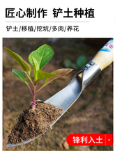 挖野菜的小铲子挖荠菜神器种花工具家用挖菜户外挖土除草园艺花云