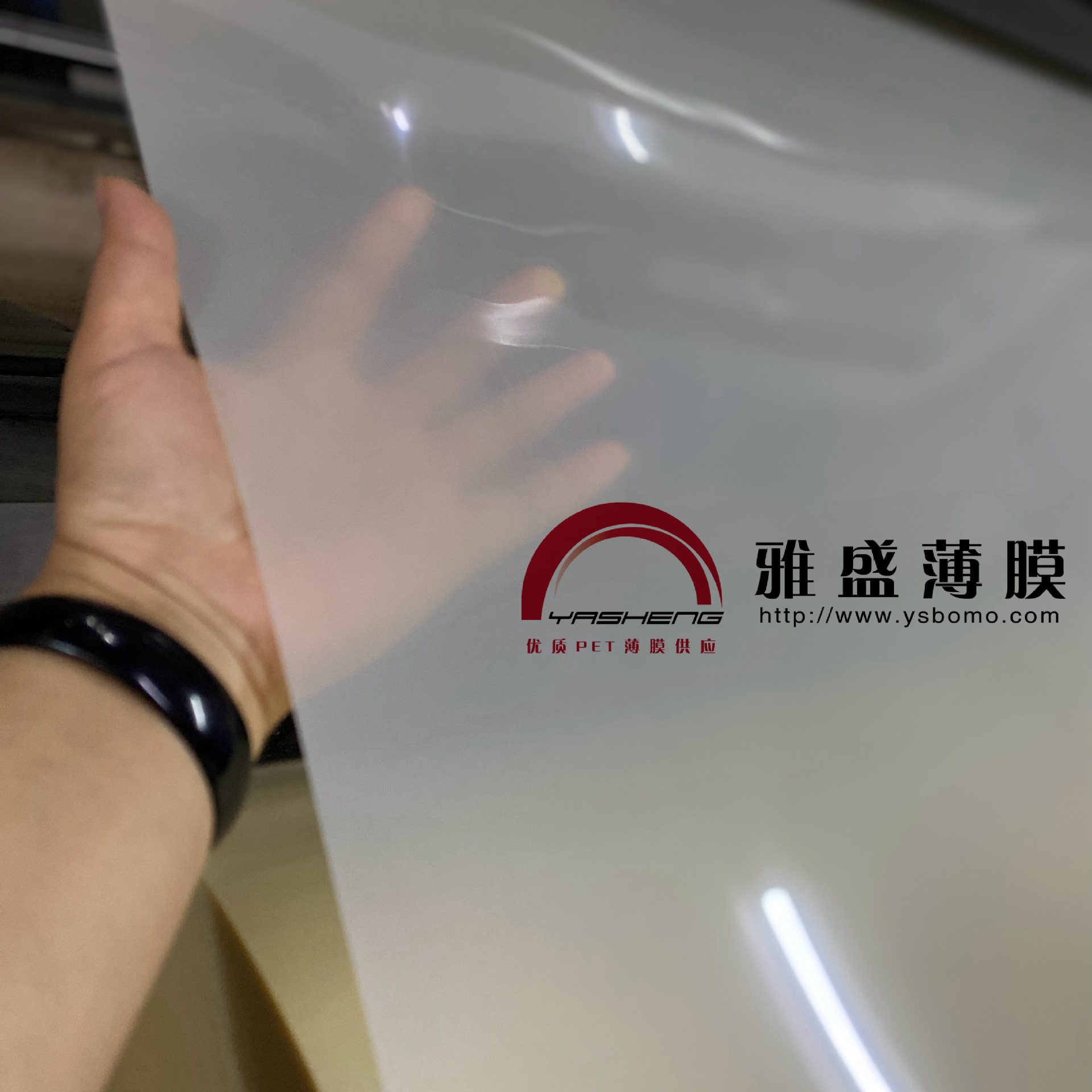 pet电机绝缘白片,sr53绝缘薄膜,sr55电机pet膜,马达电机绝缘pet膜