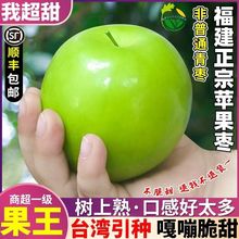 【5斤装】福建苹果枣大果脆甜大青枣当季新鲜水果一整箱顺丰速发