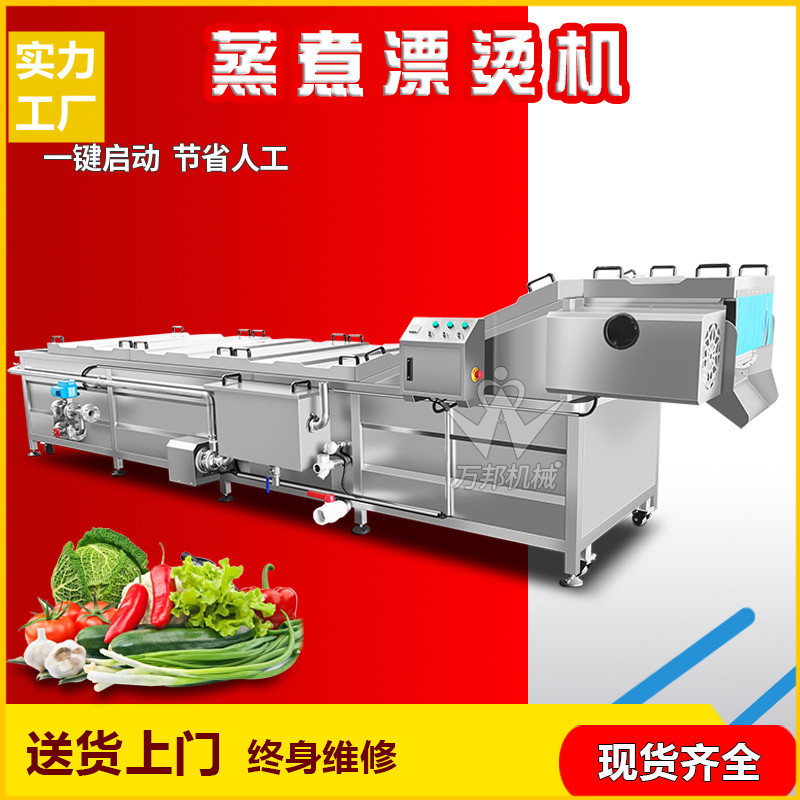 厂家生产食品厂苔菜漂烫机 商用桑芽菜漂烫杀青机 蒸煮冷却设备
