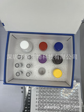 小鼠白介素11(IL11)ELISA检测试剂盒