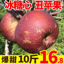 【批发价】冰糖心丑苹果水果新鲜当季红富士脆甜10斤装整箱