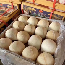 泰国新鲜椰皇整箱32个泰国牛奶椰皇甜品店椰子鸡商用椰子椰青包邮