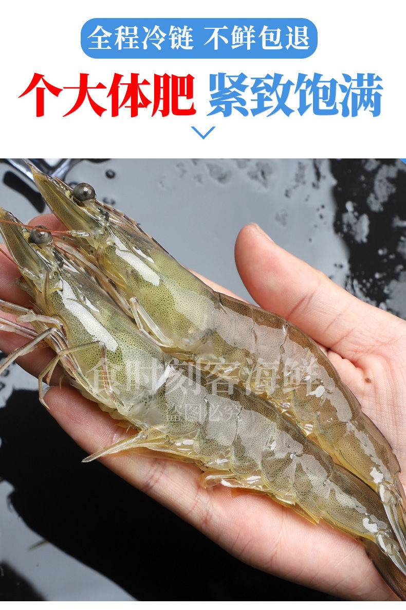 国产青岛虾一箱大虾子大虾鲜活新鲜大虾大基围虾海鲜活虾船冻虾-阿里