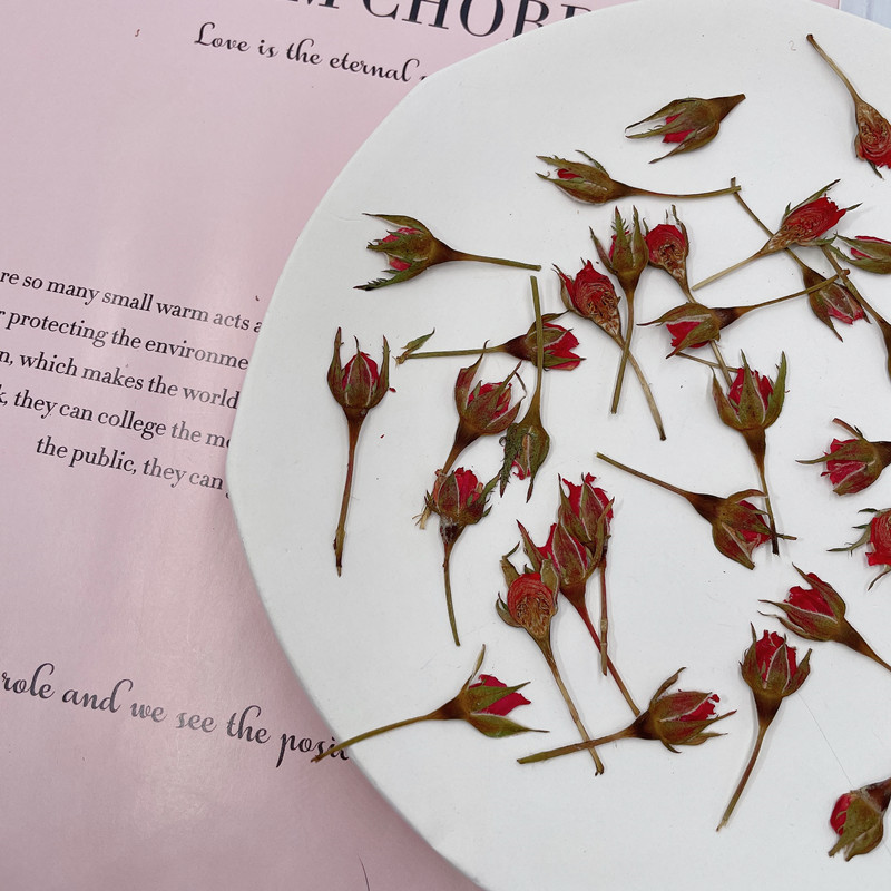 带枝玫瑰花月季干花压花标本滴胶手机壳儿童手工贴画相框书签材料